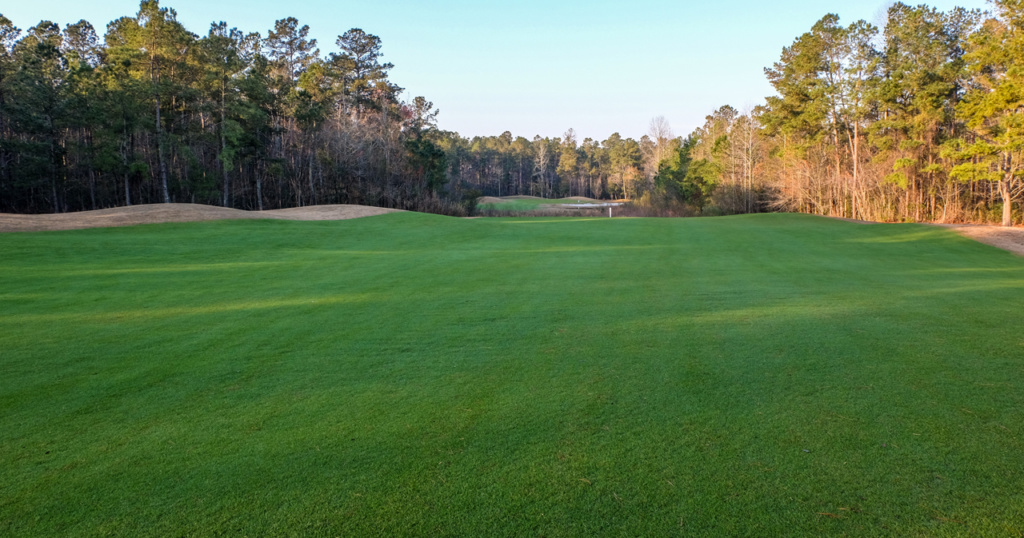 Diamondback Golf Course - Loris, SC